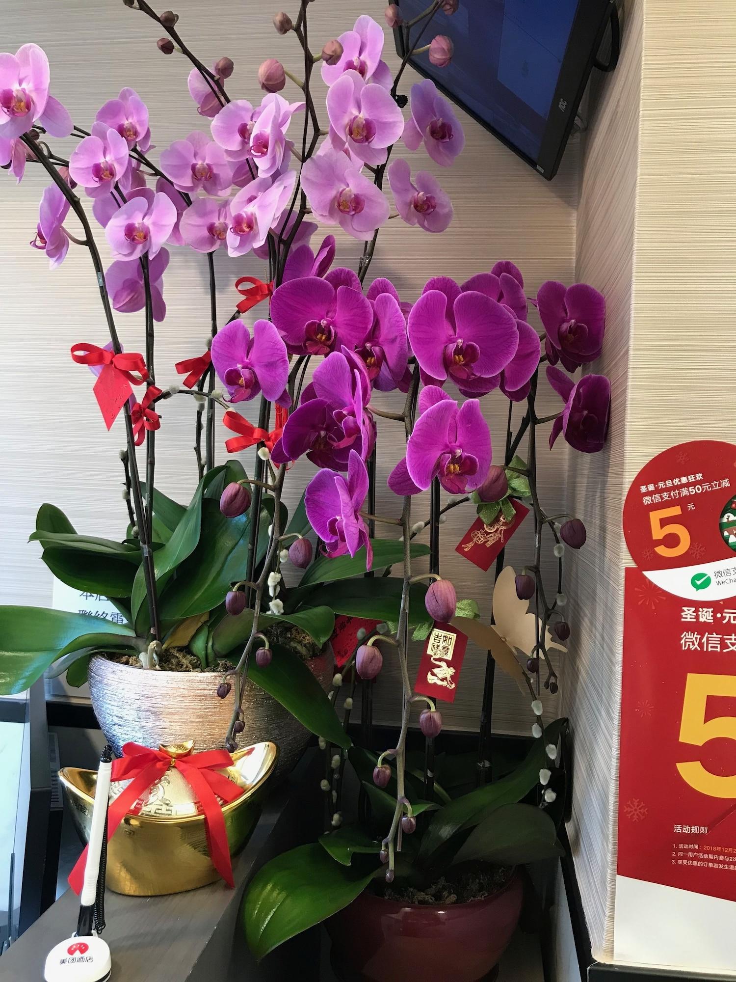 Vista Lobby Vve Vve Hotel