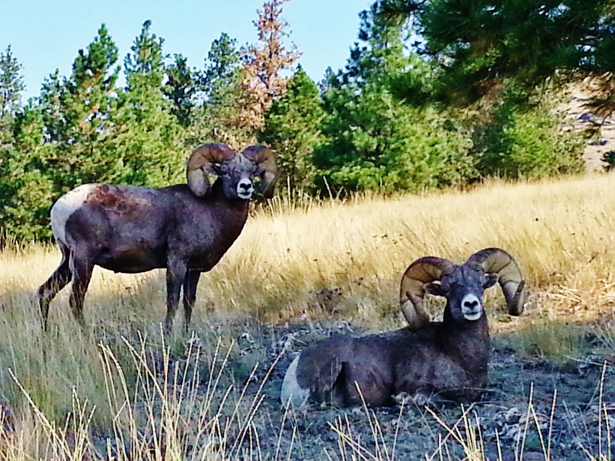 Instalaciones Recreativas Little HiltInns EGM