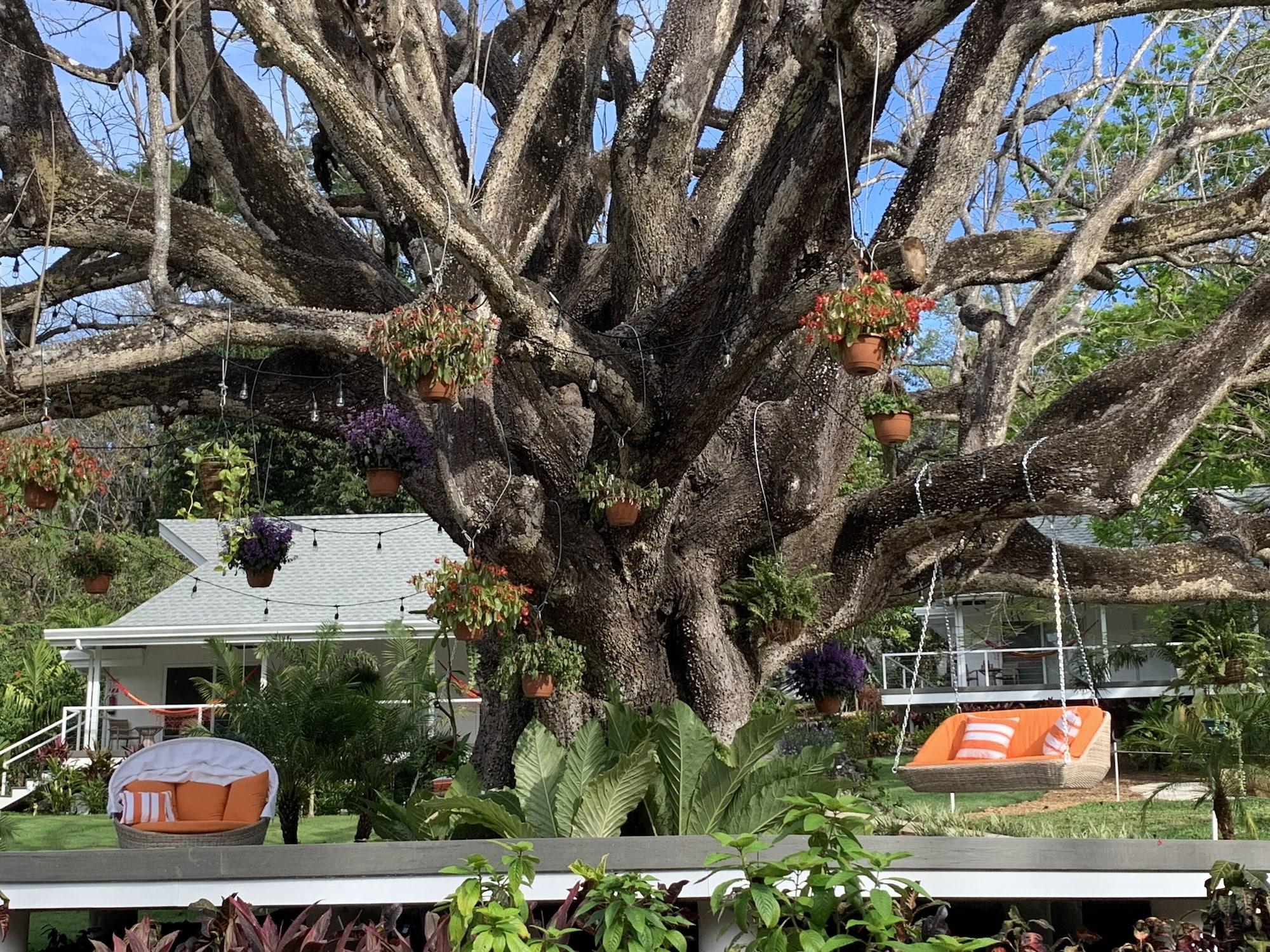 Equipamiento de Habitación Aves Hotel & Resort - Retreat Center
