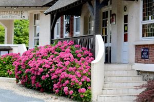 Alojamiento - Hostellerie Saint Pierre