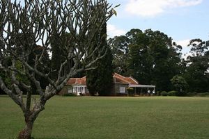 Passeio - Visita ao museu Karen Blixen e ao Giraffe Center