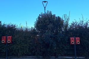 Alojamiento - Mitico Hotel & Natural Spa