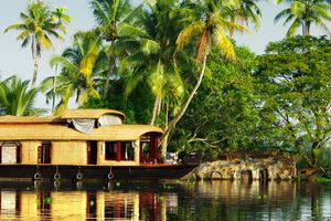 Actividad - Paseo en casa flotante + Tour por Fort Kochi
