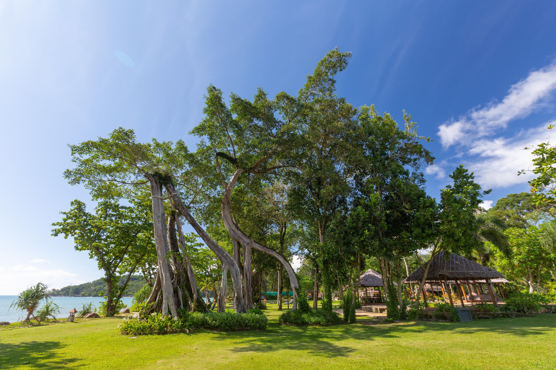 Vista Exterior Khaolak Merlin Resort