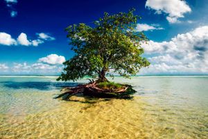 Paquete - Paquetes a Riviera Maya