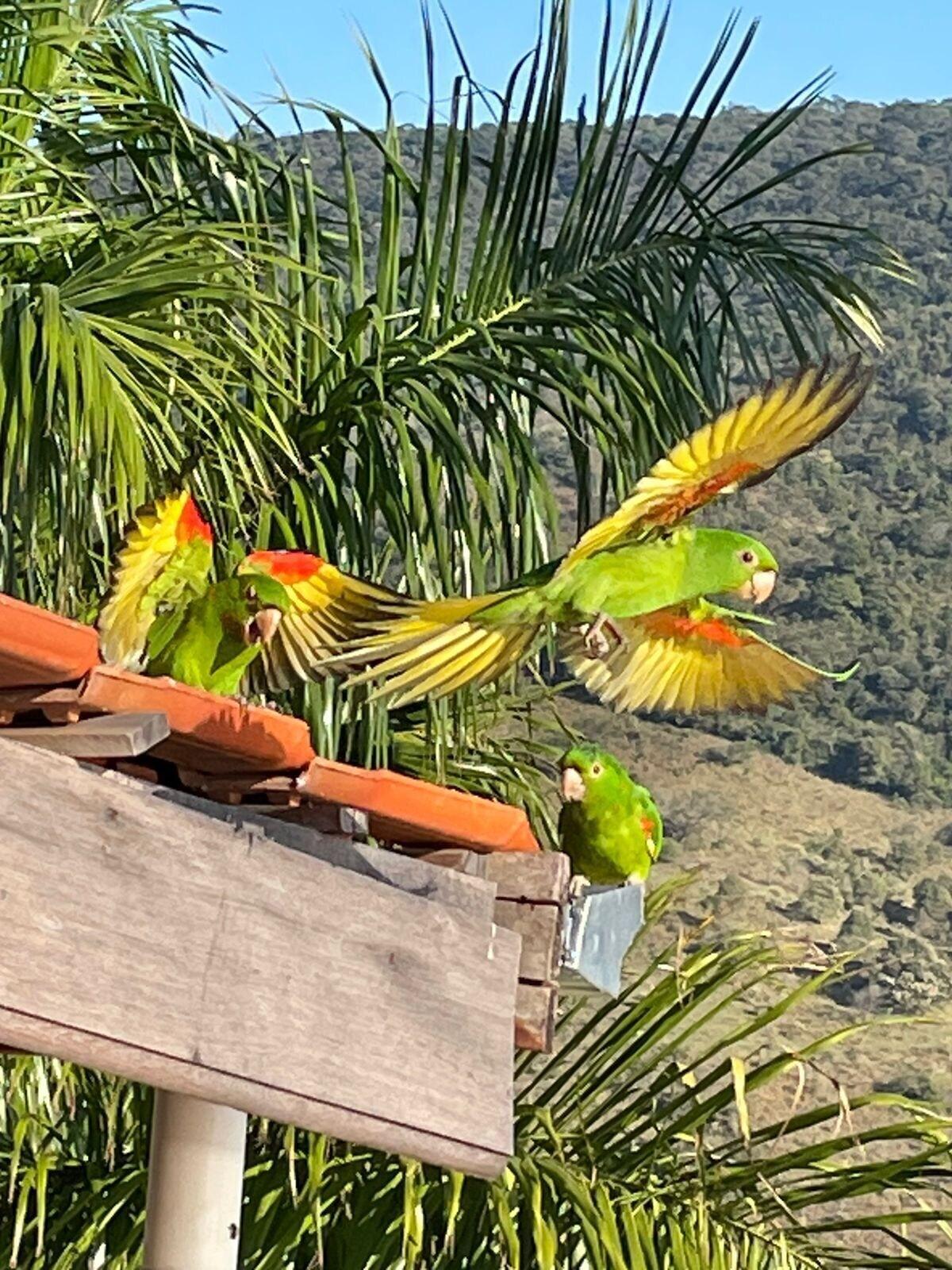 Instalaciones Recreativas Hotel Alpes da Fazenda