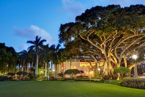 Alojamiento - The Boca Raton