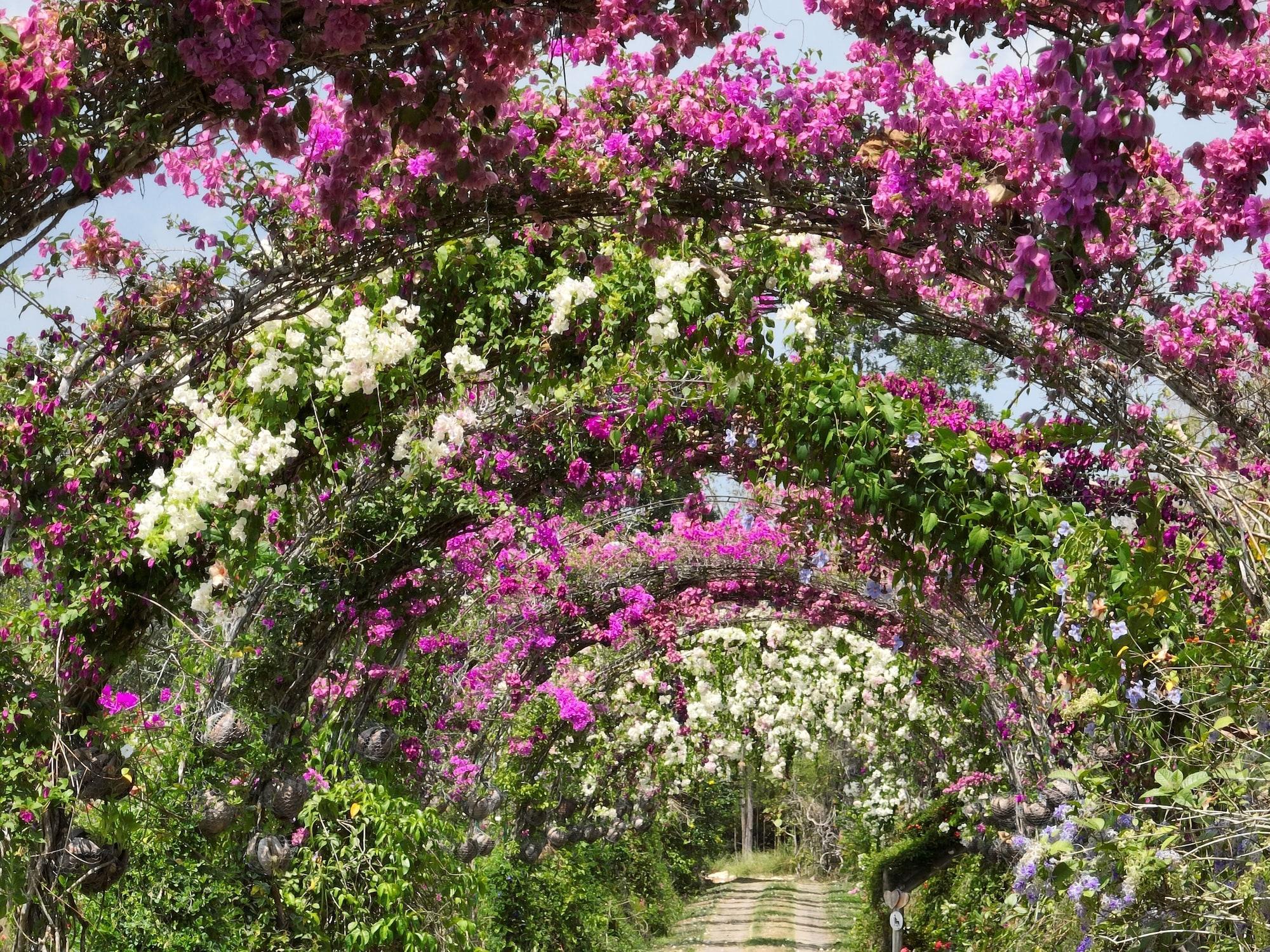 Varios Tropical Magnolia Resort