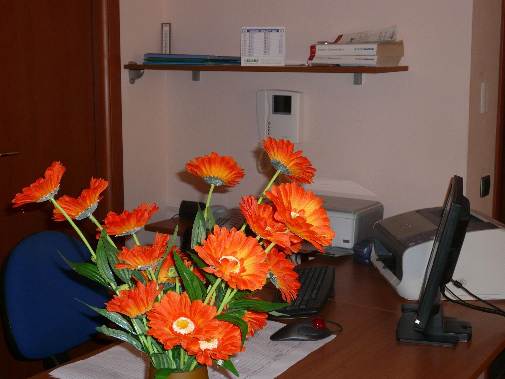 Vista Lobby La Collina