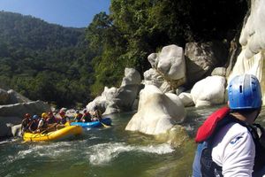 Alojamiento - Jungle River Lodge