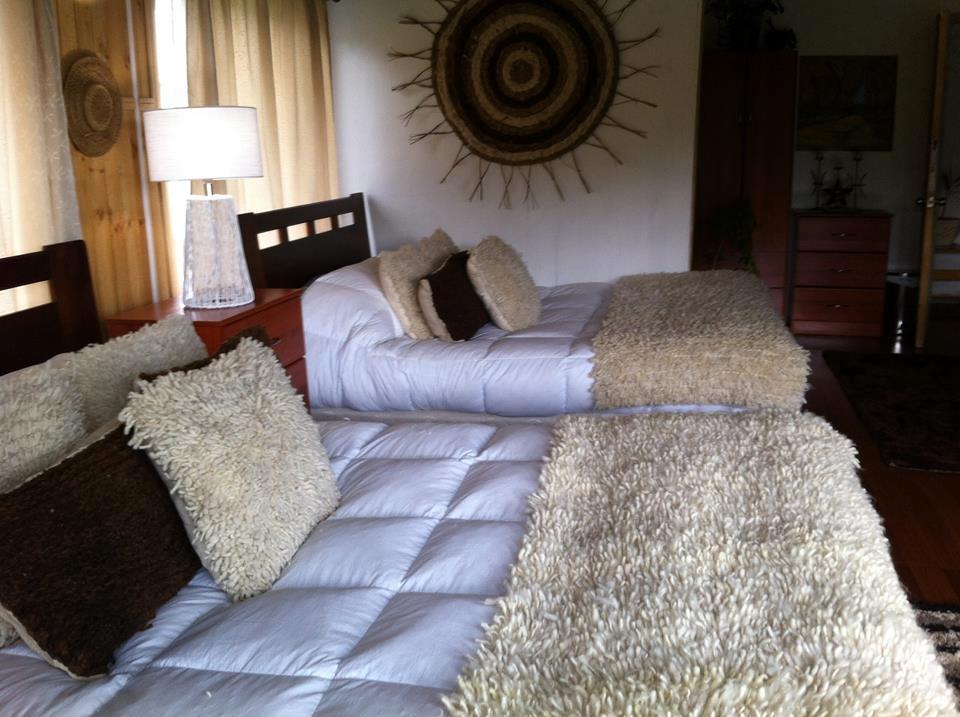 Habitación Lodge Guarida del Trauco