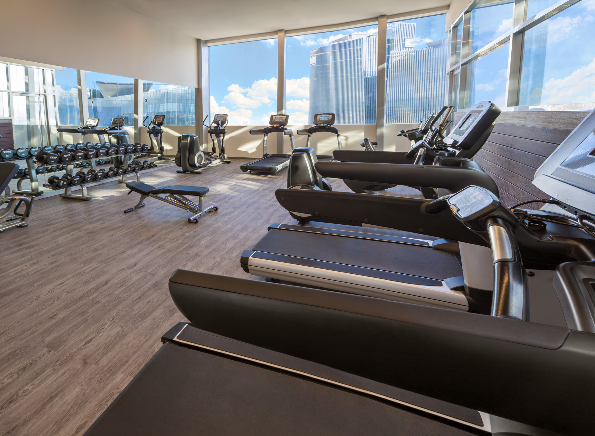 Gimnasio Fiesta Americana México Toreo