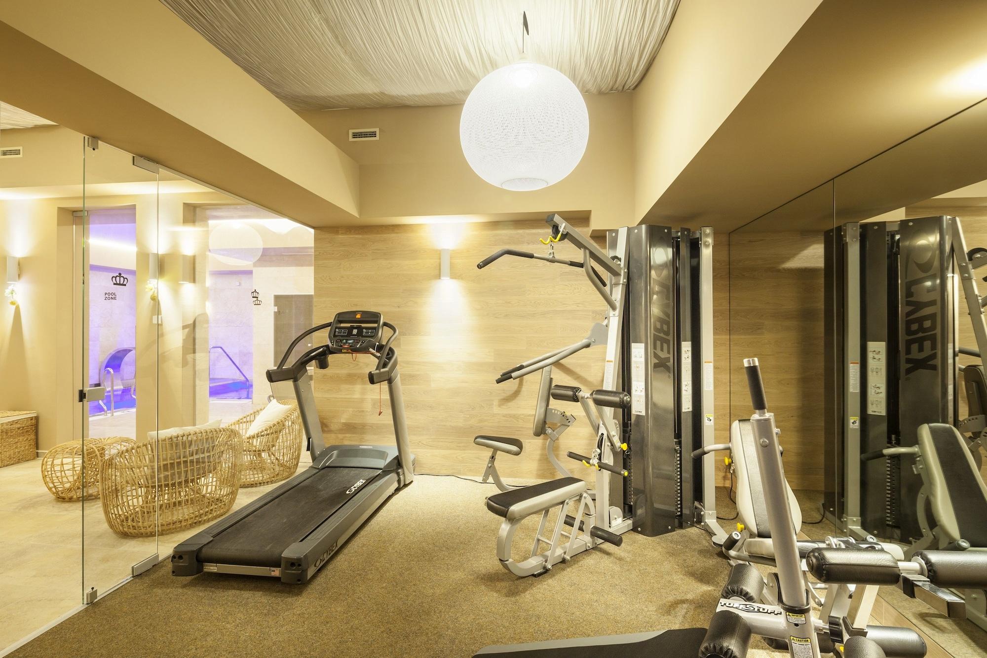 Gimnasio Kosher Hotel KING DAVID Prague