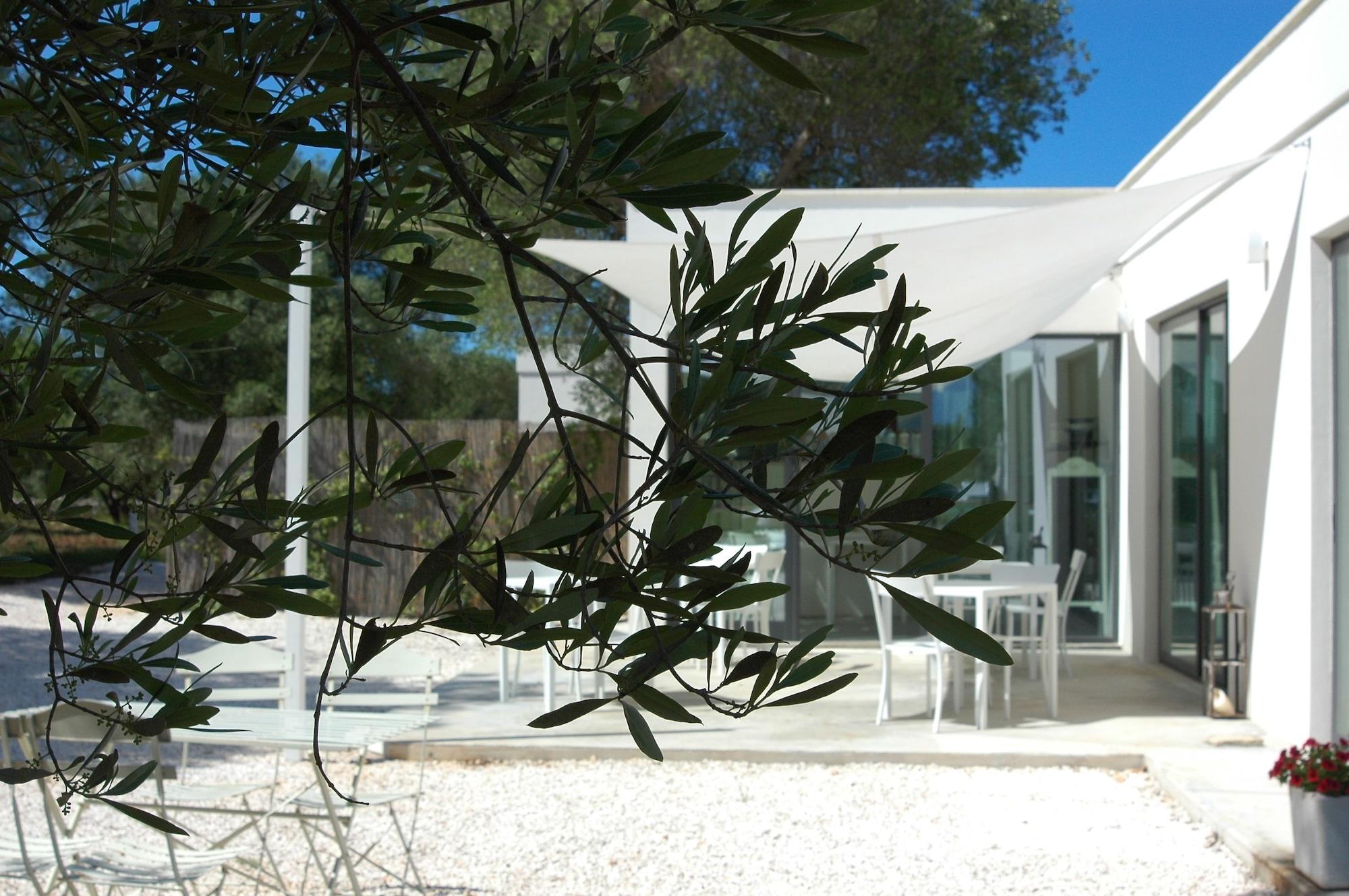 Bar/Salón Ulivi Al Sole - Charming B&B