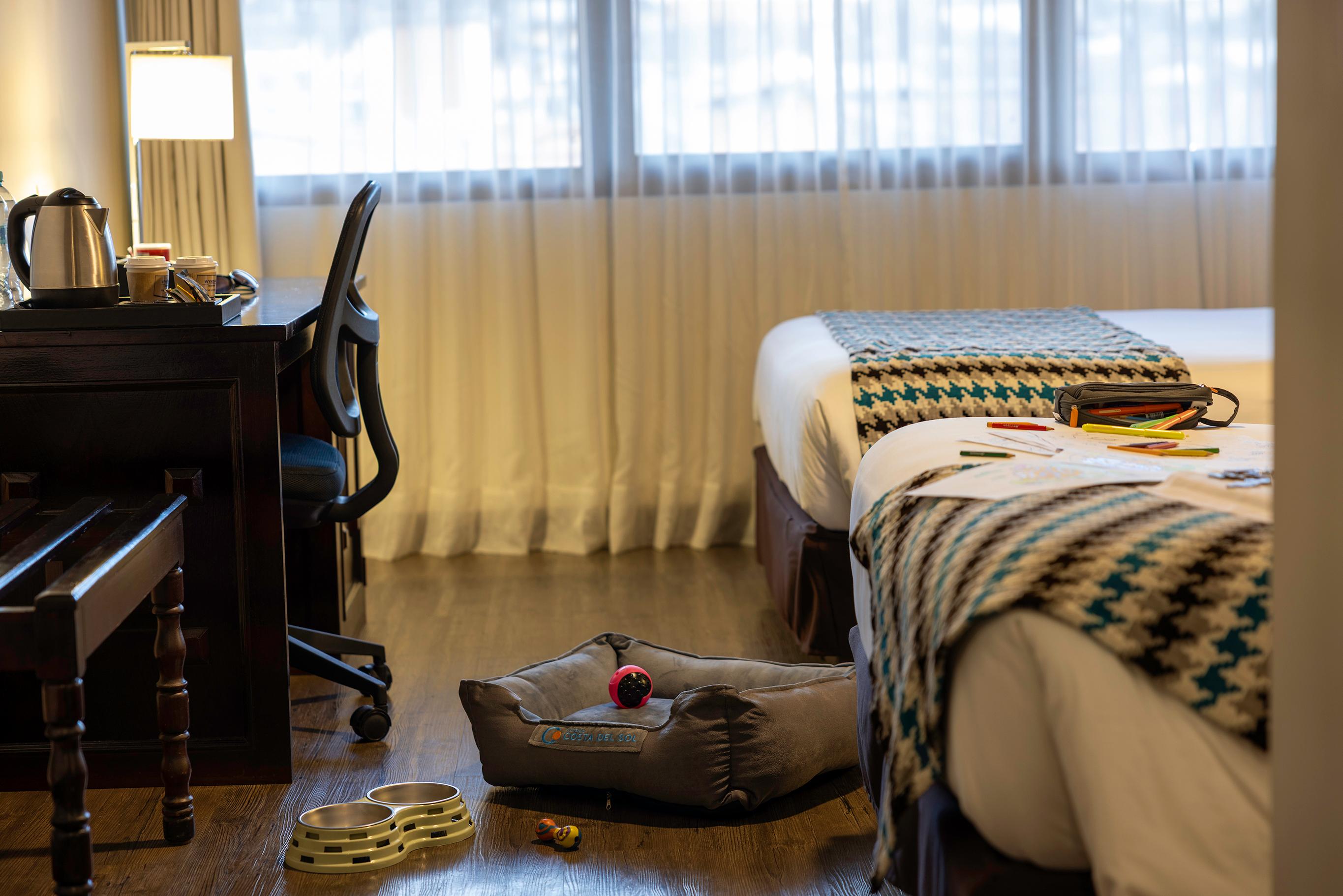 Pet friendly Hotel Costa del Sol Wyndham Cusco