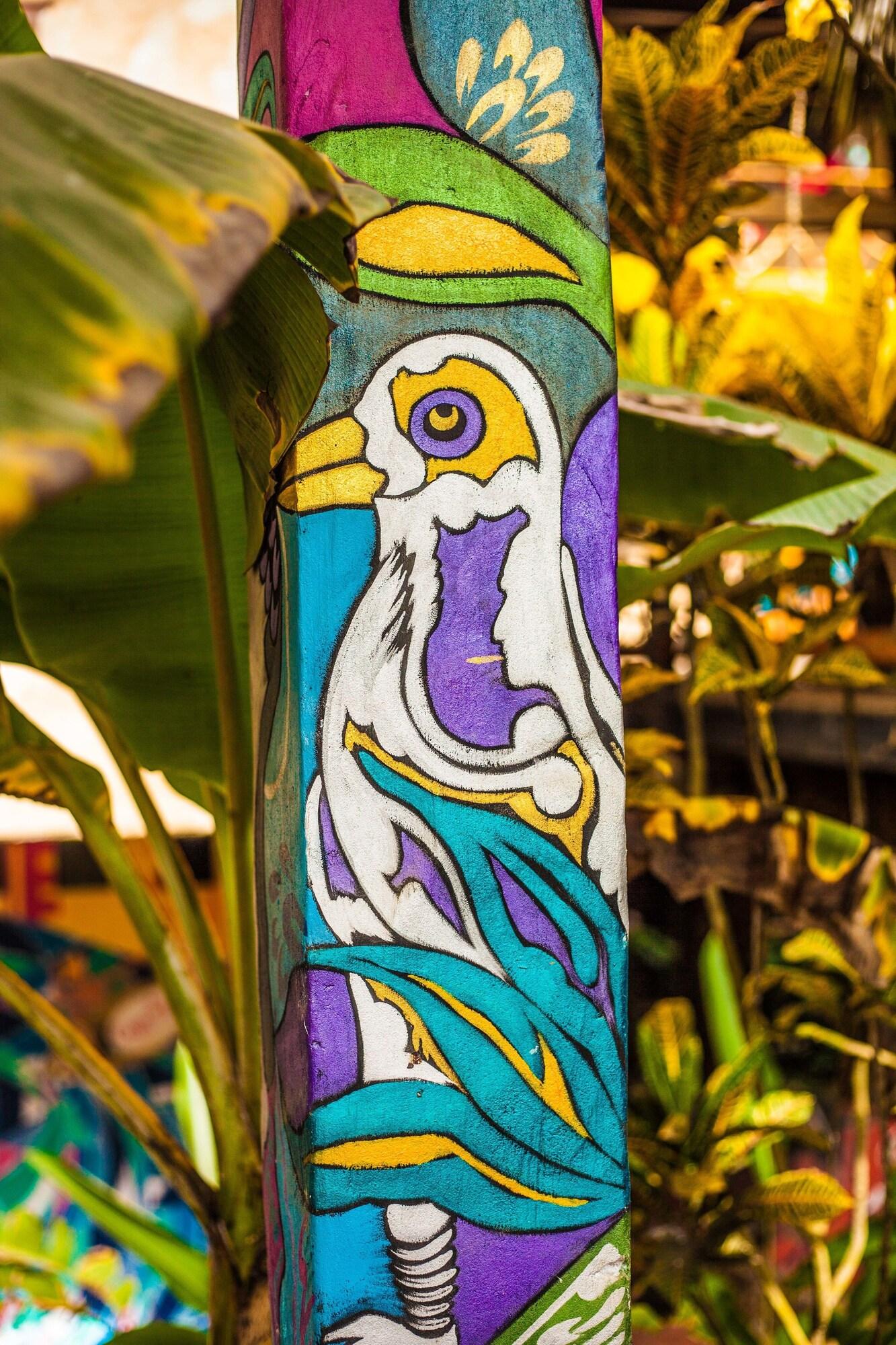 Vista Lobby Casa del Sol