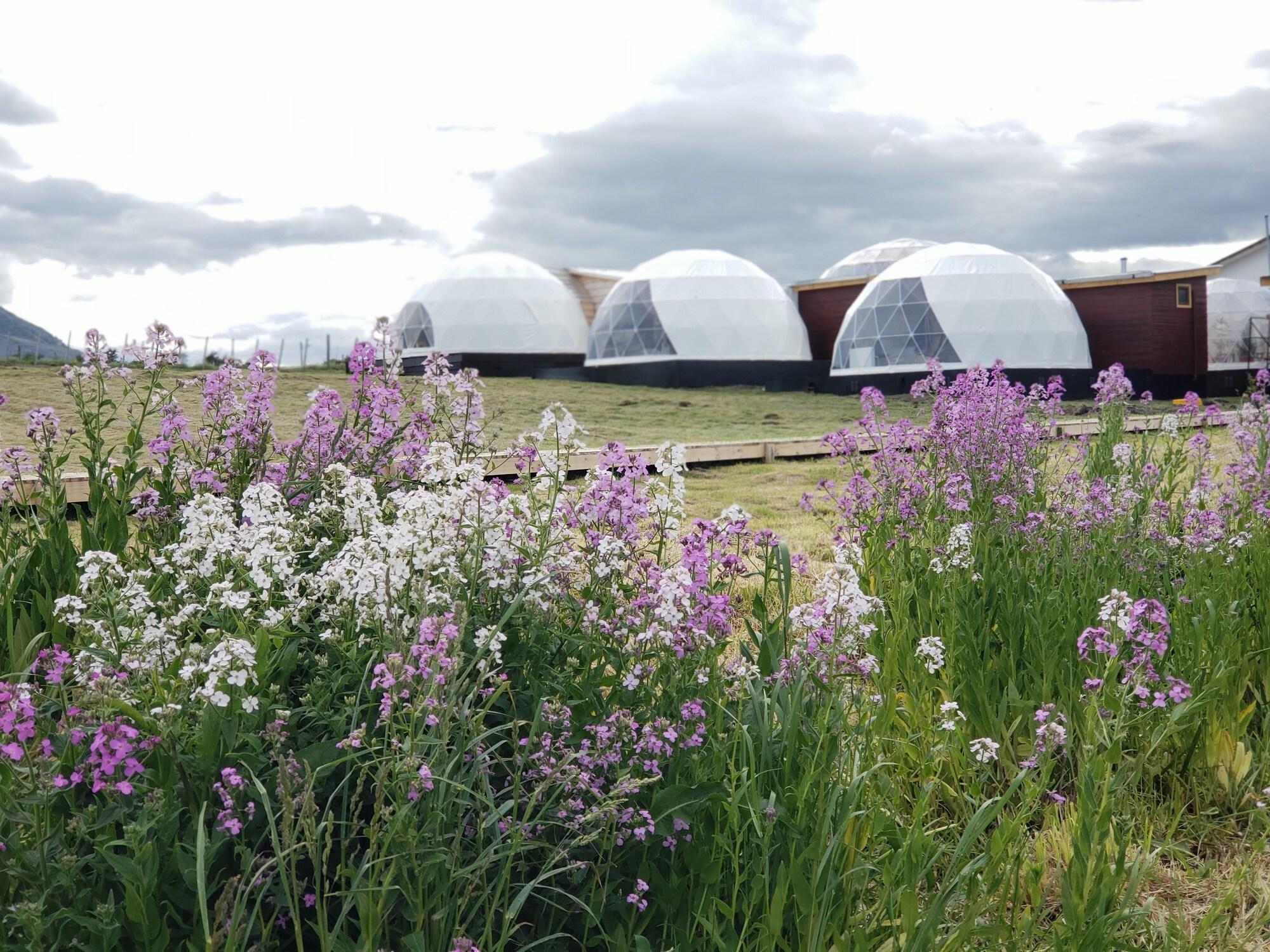 Vista Exterior Garden Domes