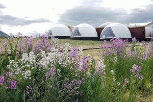 Alojamiento - Garden Domes
