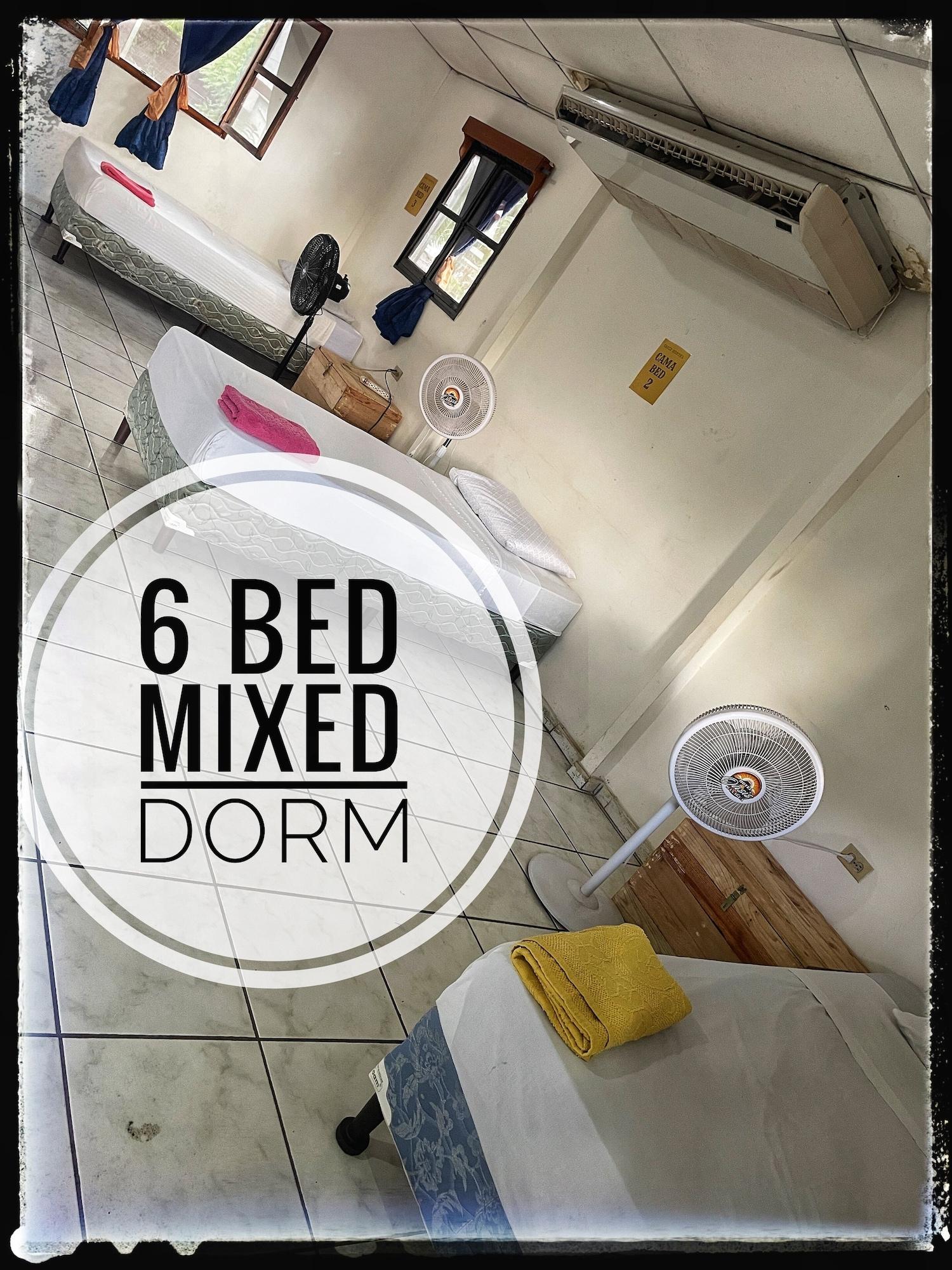 Habitación Oasis Hostel