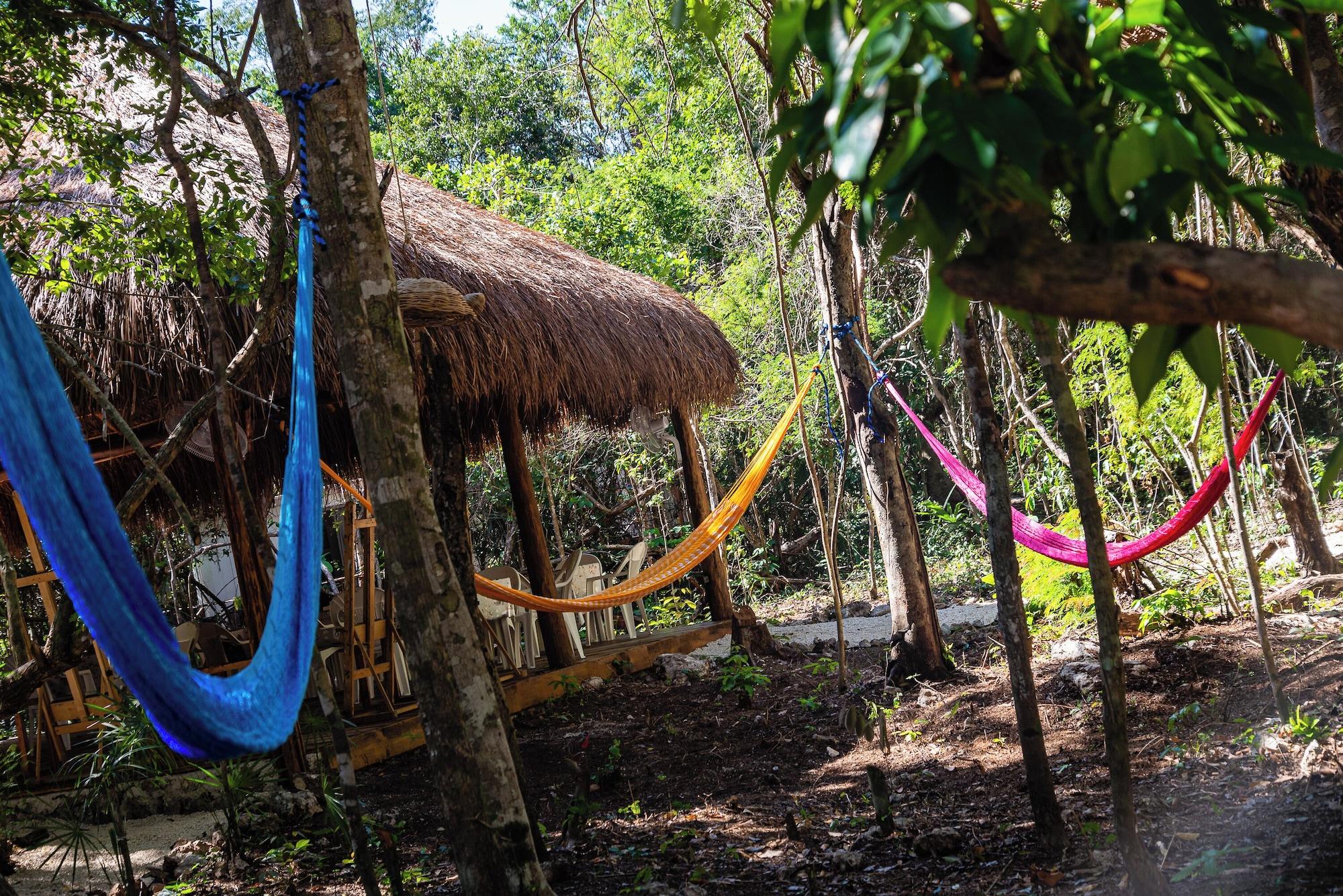 Vista Exterior La Ballena Nómada