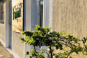 Alojamiento - Casa Mama Fanti