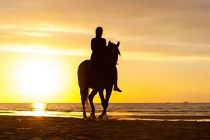 Actividad - Paseo a caballo por playa El Limon al atardecer