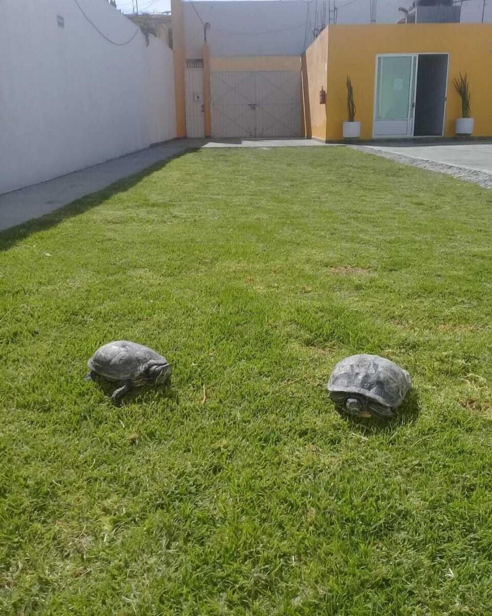 Comodidades del Alojamiento Posada del Ángel