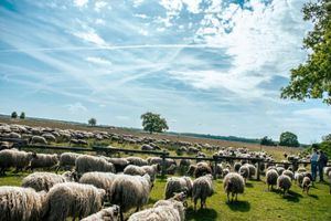 Alquiler Vacacional - Holiday Park Escape in Drenthe