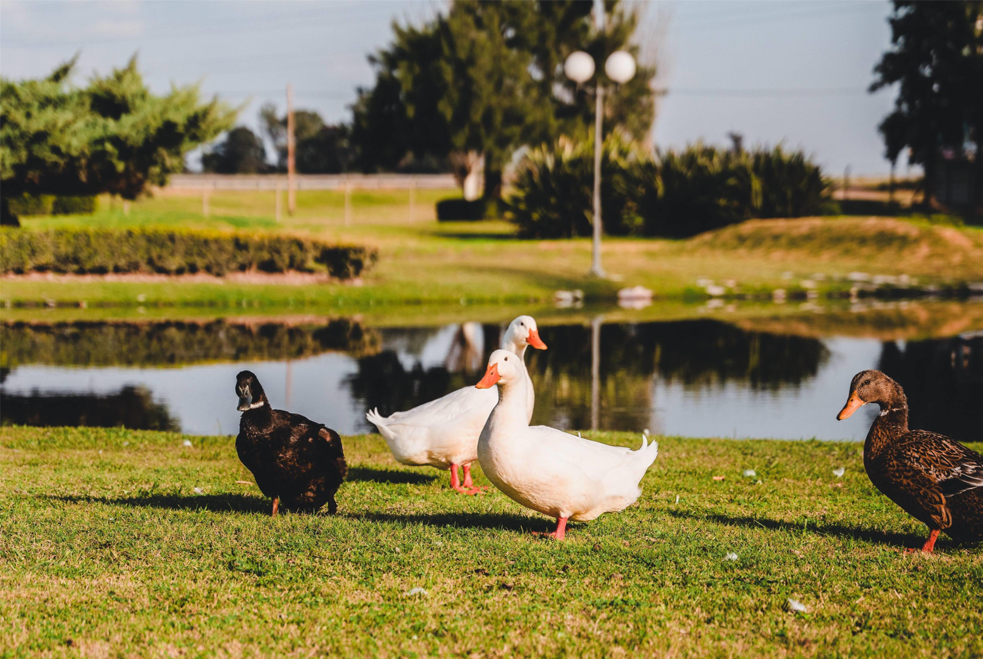 Vista Exterior Wyndham Garden Campana