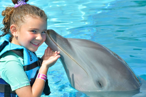 Actividad - Visita Guiada en Tulum y Encuentro con Delfines