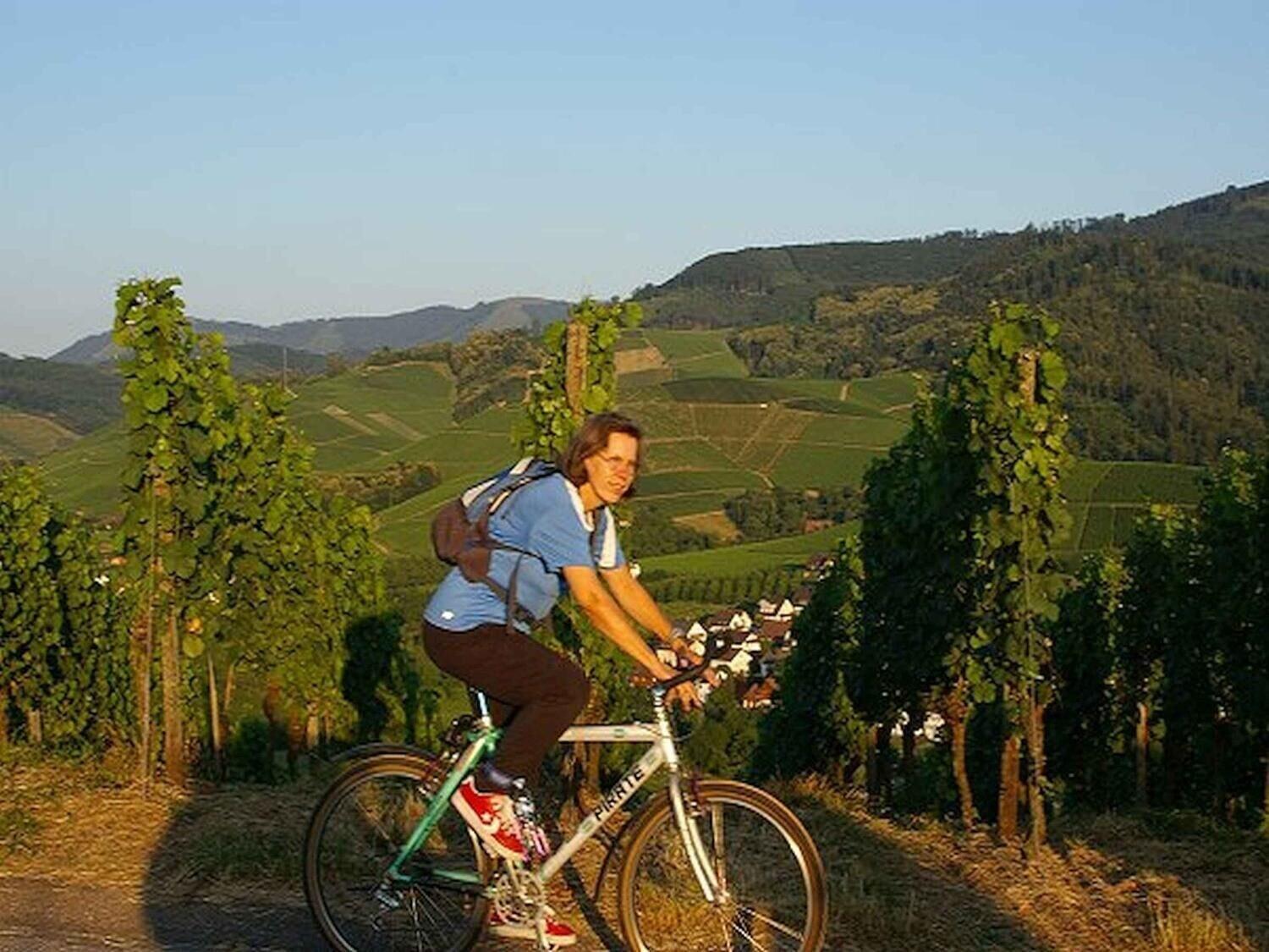 Gimnasio Gasthaus-Pension Hohberg