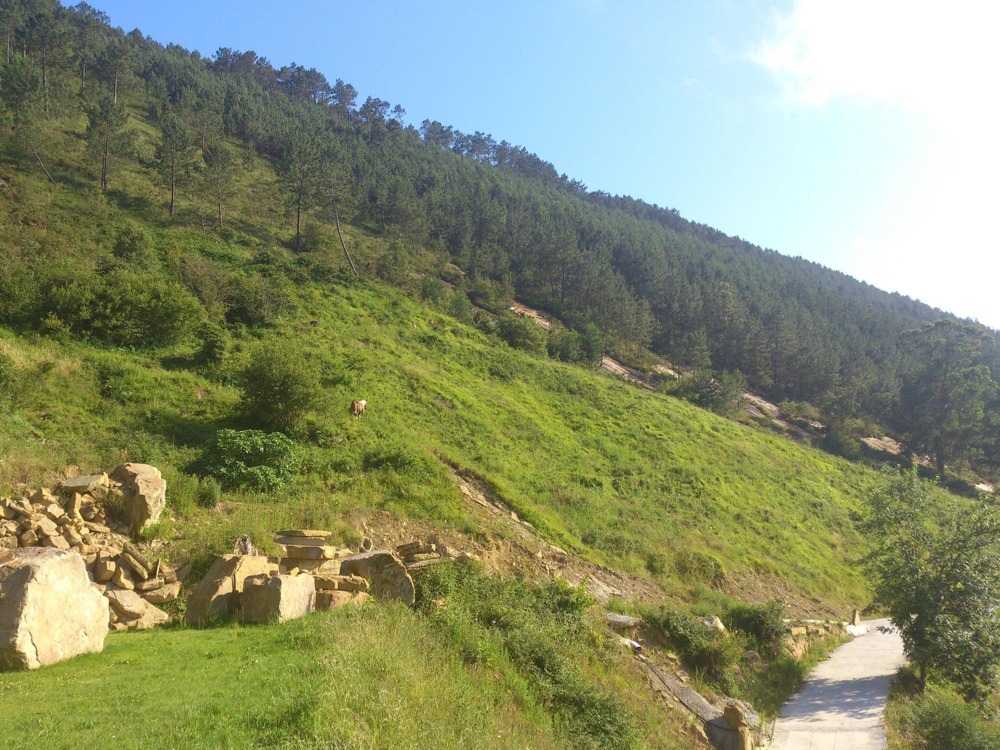 Vista Exterior Agroturismo Itxaspe