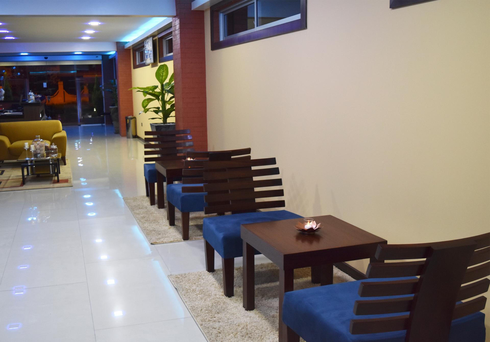 Vista Lobby Selenza Apart Hotel