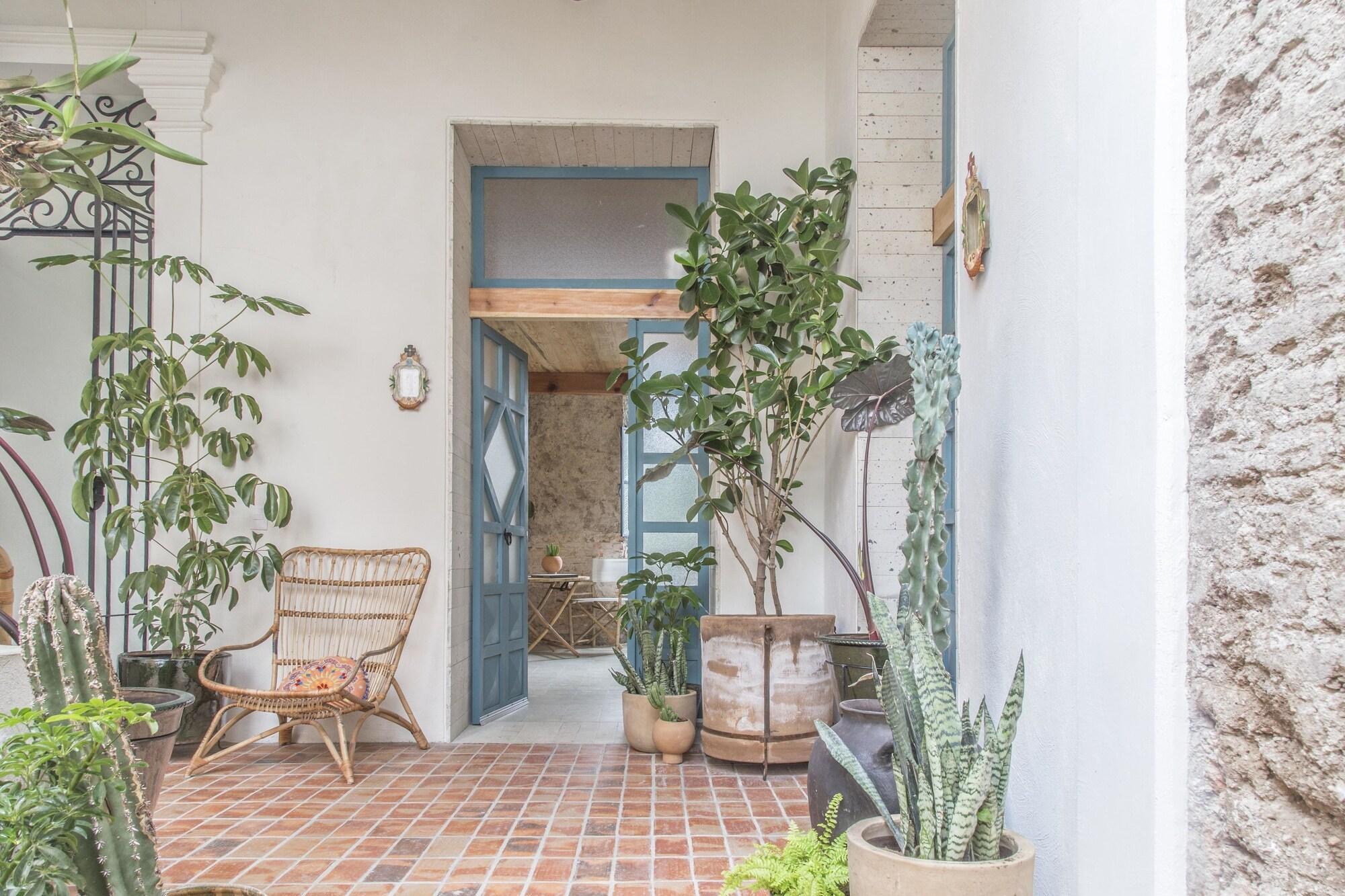 Varios Casa Morelos By Barrio Mexico
