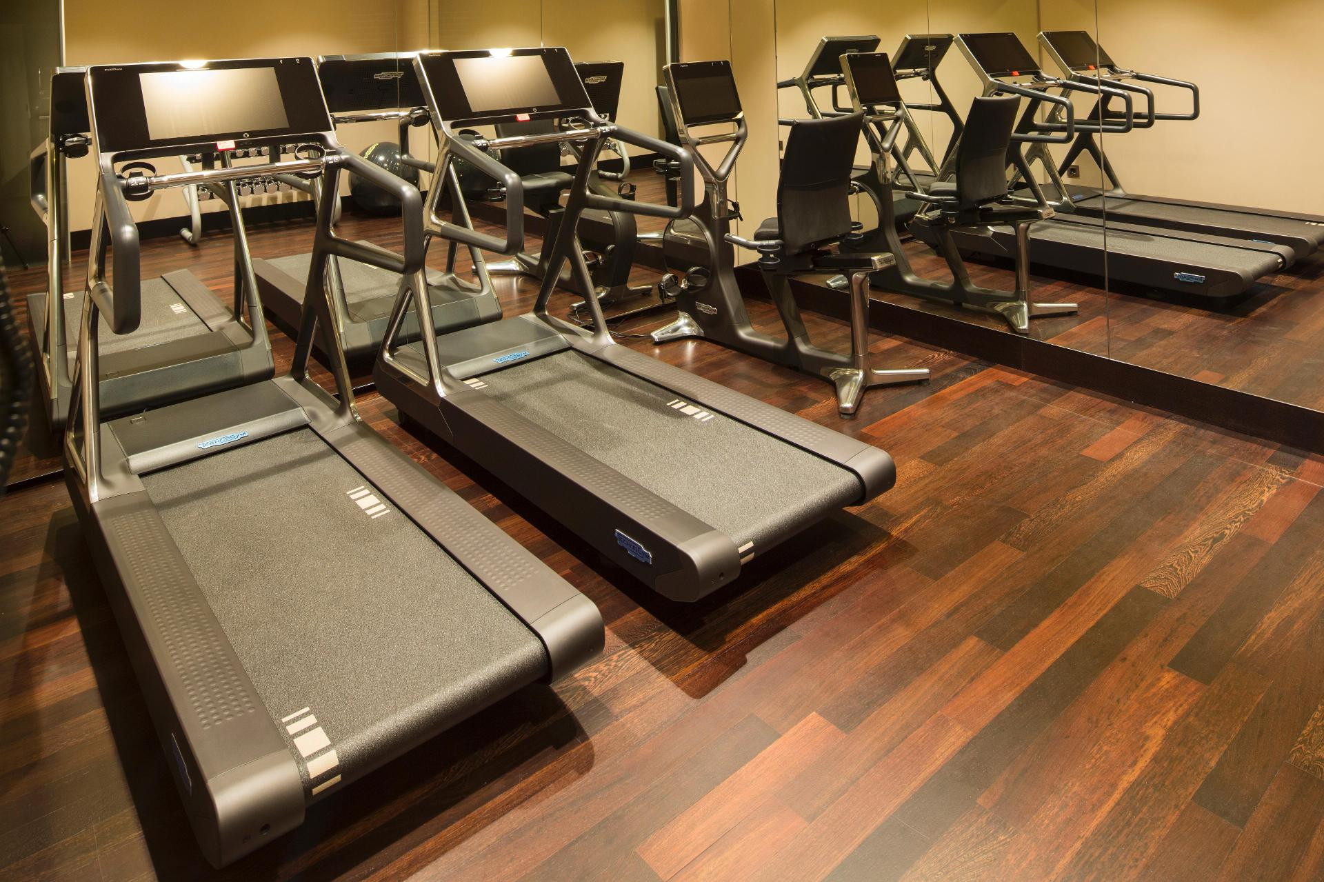 Gimnasio BERDS Hotel Chisinau - MGallery Collection