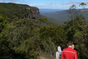 Actividad - Excursión a las Montañas Azules: Vida Silvestre y Senderismo