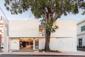 Alojamiento - Óntico Urban Design Hotel