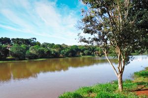 Passagem - Voos para Cascavel