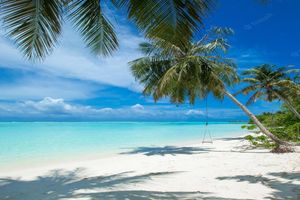 Actividad - Saona VIP - Tour de día completo