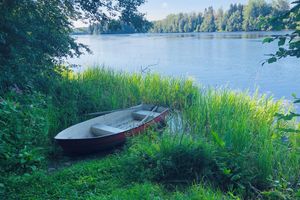 Alquiler Vacacional - Tiny hut in the Forest Overlooking the River