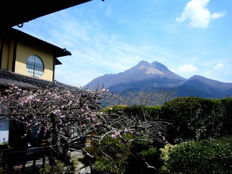 Vista Exterior Sanso Tanaka