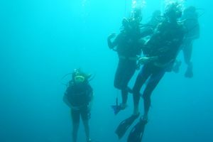 Actividad - Beginner’s Dive: Your First Underwater Adventure