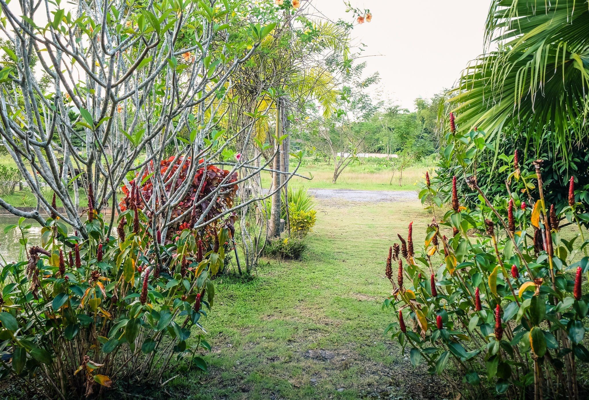 Vista Exterior Rommai Villa