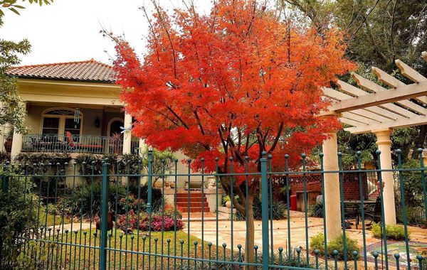 The Laurel Bed And Breakfast