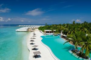 Alojamiento - Amilla Maldives