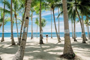 Alojamiento - Oceanica Resort Panglao