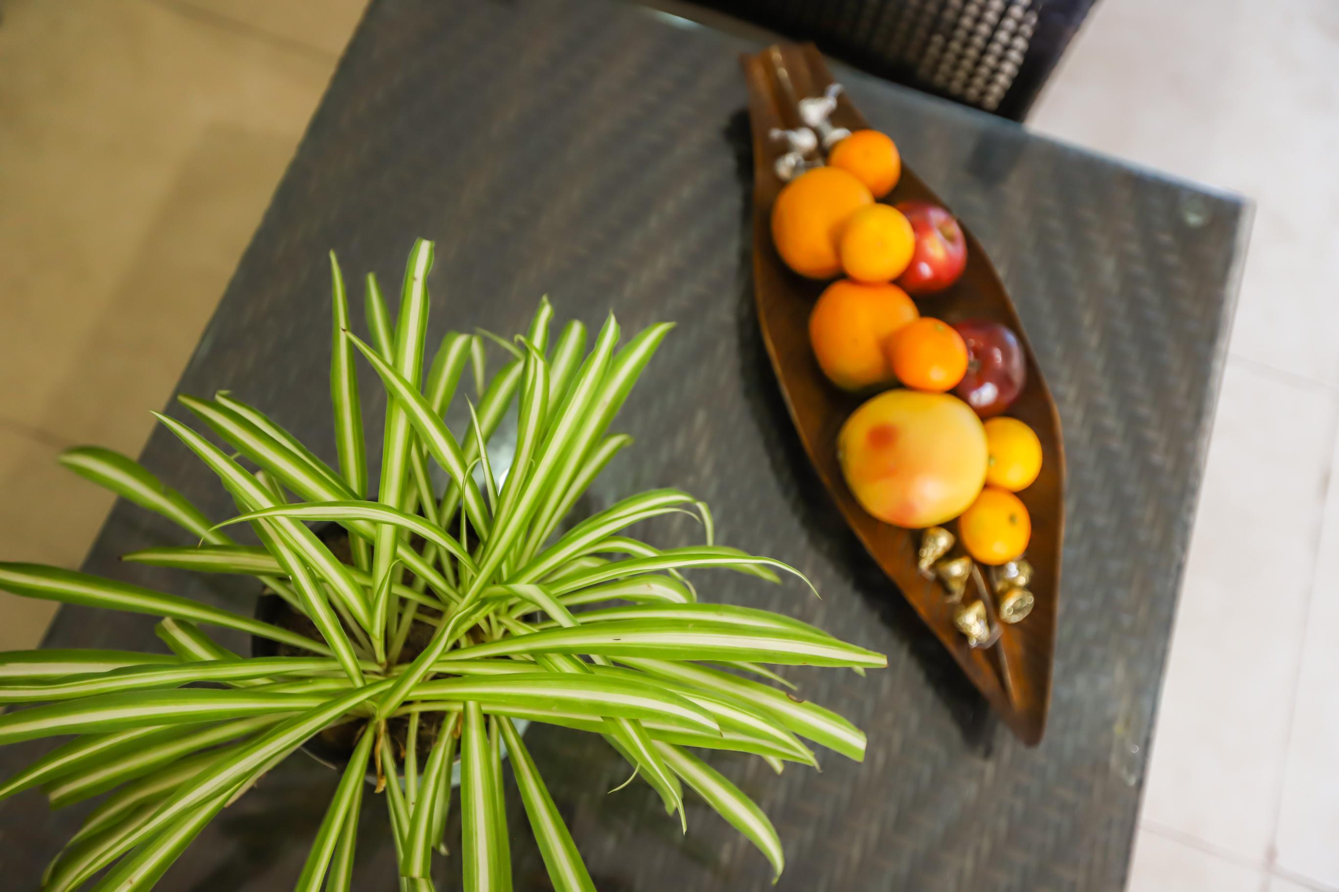 Habitación Hotel Mayan Secret Boutique