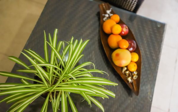 Hotel Mayan Secret Boutique - Hoteles con desayuno en Chetumal, México