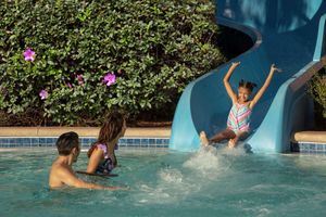 Alojamiento - Hilton Orlando