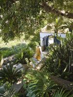 Alojamiento - Dar Jasmine